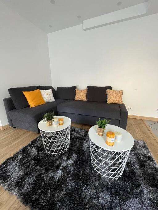 Superbe Appartement Moderne En Rez-De-Chaussee Ozoir-la-Ferrière Dış mekan fotoğraf